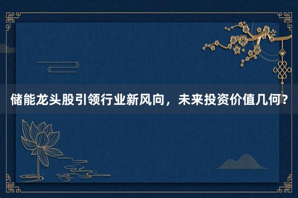 储能龙头股引领行业新风向，未来投资价值几何？