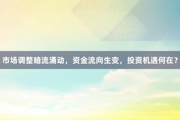 市场调整暗流涌动，资金流向生变，投资机遇何在？