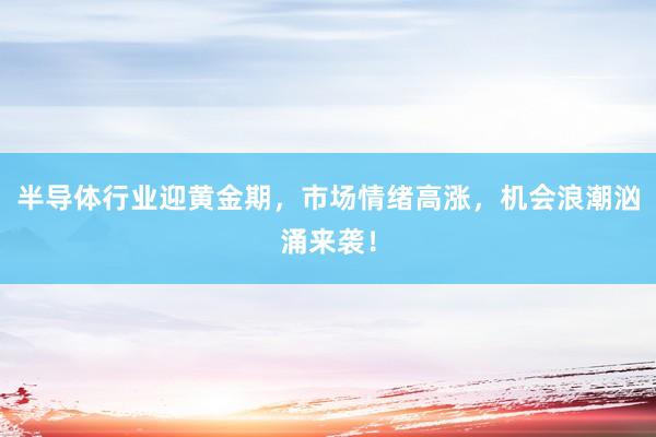 半导体行业迎黄金期，市场情绪高涨，机会浪潮汹涌来袭！