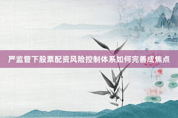 严监管下股票配资风险控制体系如何完善成焦点