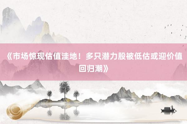 《市场惊现估值洼地！多只潜力股被低估或迎价值回归潮》